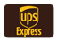 UPS Express Logo